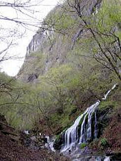 白水の滝。6:00。