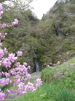 ひーちょんの滝。7:30。